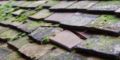 Dre Fach roof repair costs